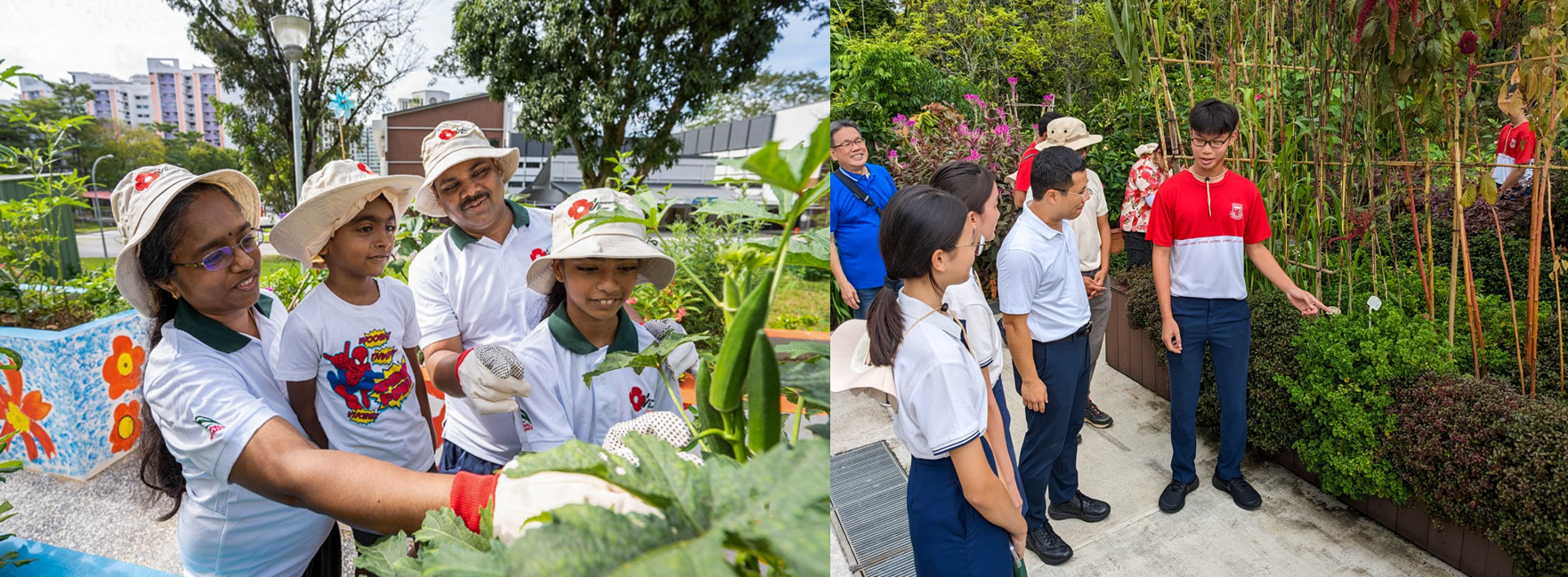 Community in Bloom gardens